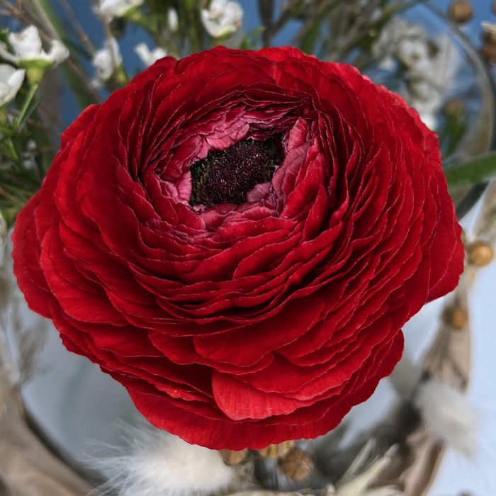 Настольная композиция на ресепшен с красными ранункулюсами